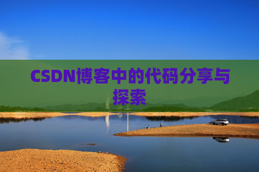 CSDN博客中的代码分享与探索